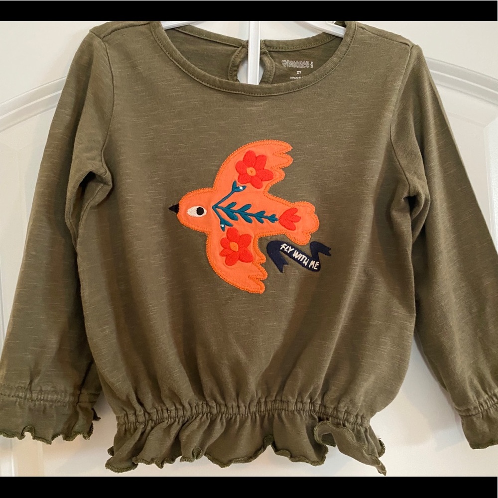 Girl’s Gymboree Shirt